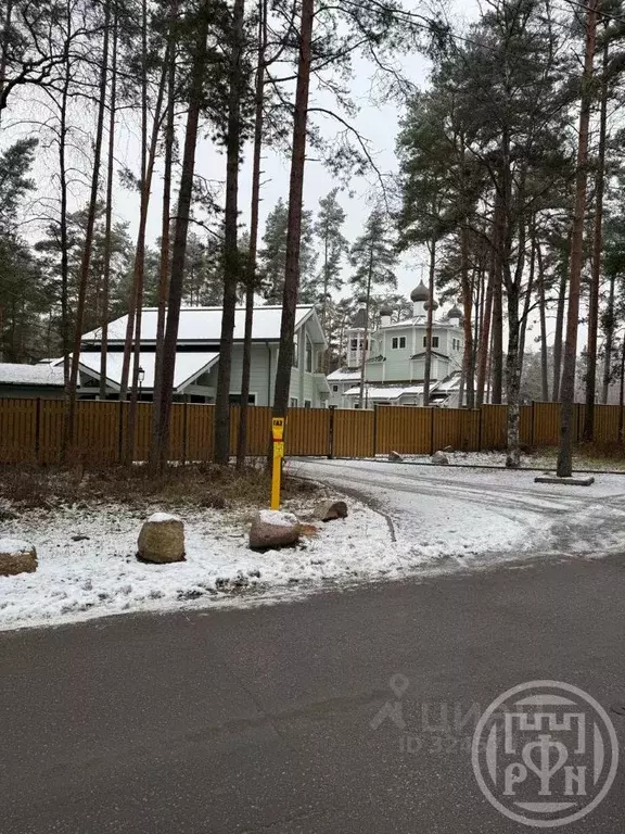 Участок в Санкт-Петербург пос. Солнечное, ул. Петровская (43.15 сот.) - Фото 2