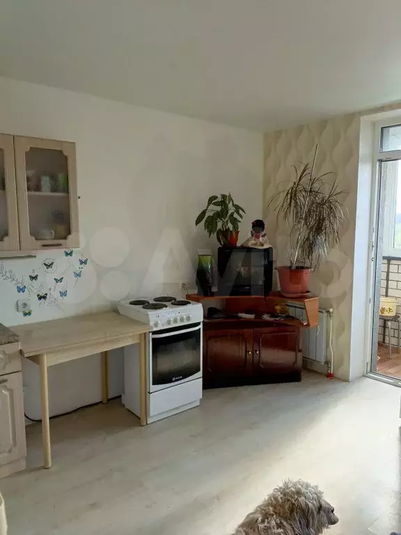 Квартира-студия, 23 м, 3/12 эт. - Фото 0