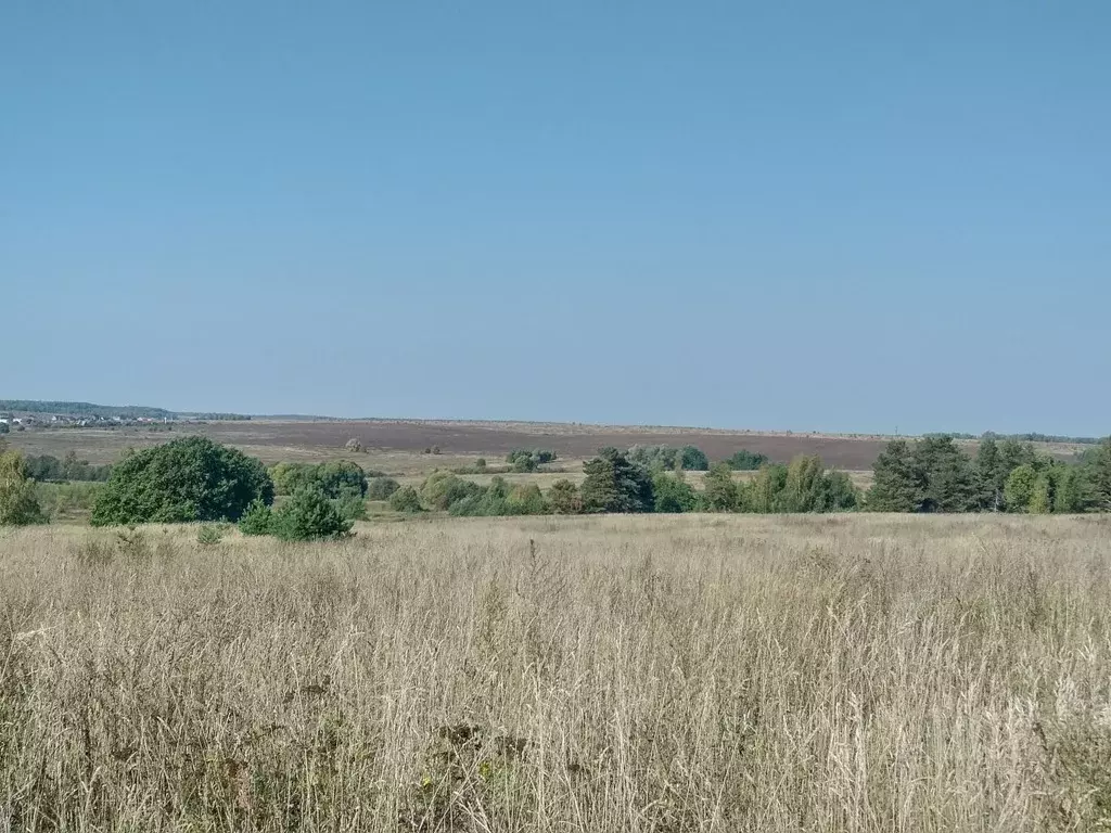 Участок в Владимирская область, Владимир ул. Немцово Поле, 32 (11.21 ... - Фото 2