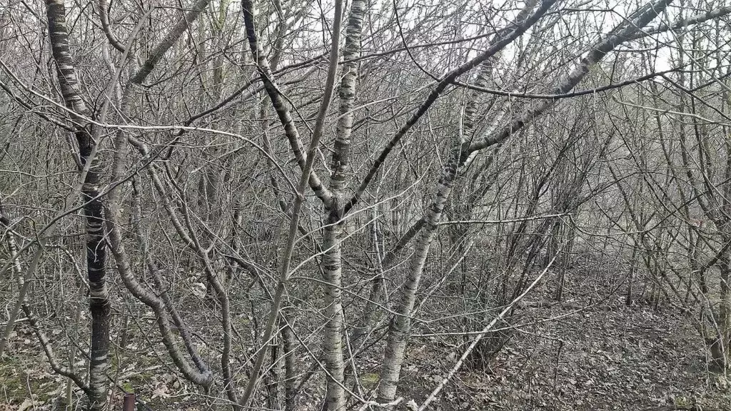 Участок в Ставропольский край, Ставрополь Вольница-2 садовое ... - Фото 1