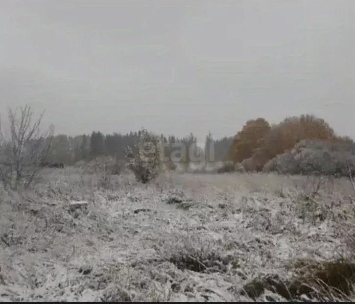 Участок в Амурская область, Свободный Амурская ул. (18.39 сот.) - Фото 2