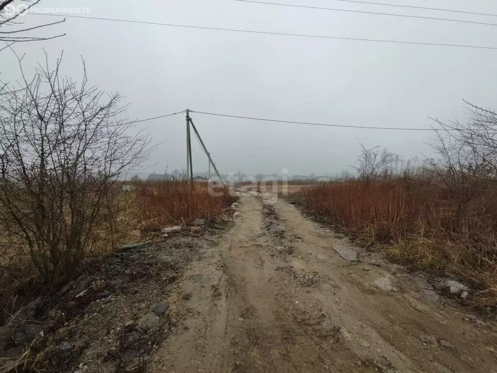 Участок в Калининградская область, Зеленоградский муниципальный округ, ... - Фото 1