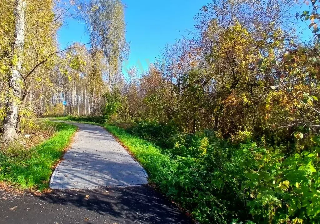Участок в Алтай, Майминский район, с. Майма ул. Строителей (5.0 сот.) - Фото 2