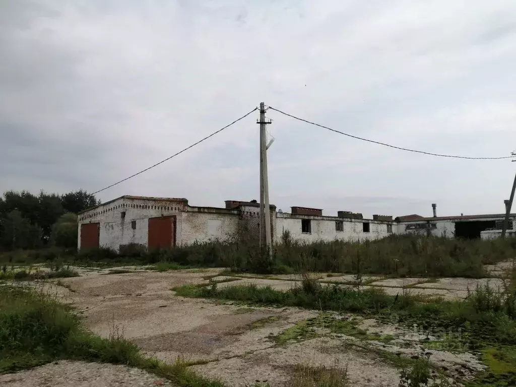 Участок в Московская область, Клин городской округ, д. Борки  (5.0 ... - Фото 0
