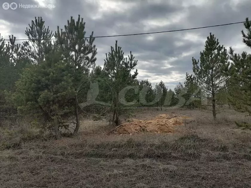 Участок в Свердловская область, посёлок городского типа Тугулым (12.5 ... - Фото 1