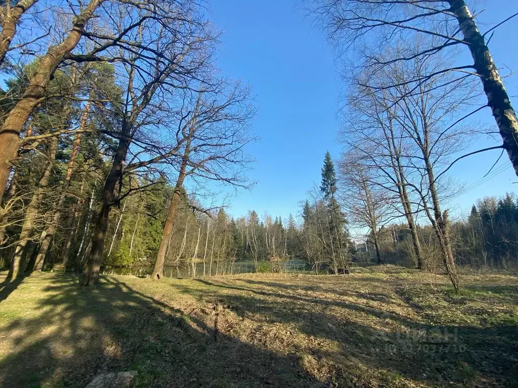 Дом в Московская область, Солнечногорск городской округ, пос. ... - Фото 1