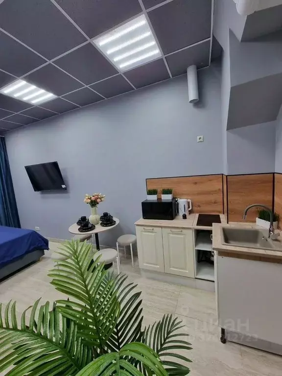 Студия Татарстан, Казань Габдуллы Тукая ул., 112 (24.0 м) - Фото 2