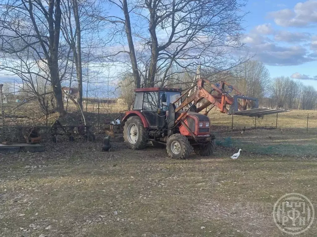 Дом в Новгородская область, Батецкий муниципальный округ, д. Русыня 16 ... - Фото 1