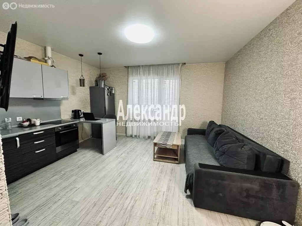 Квартира-студия: Кудрово, Европейский проспект, 18к2 (27.8 м) - Фото 2