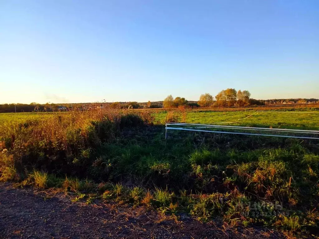 Участок в Московская область, Истра муниципальный округ, д. Загорье, ... - Фото 1