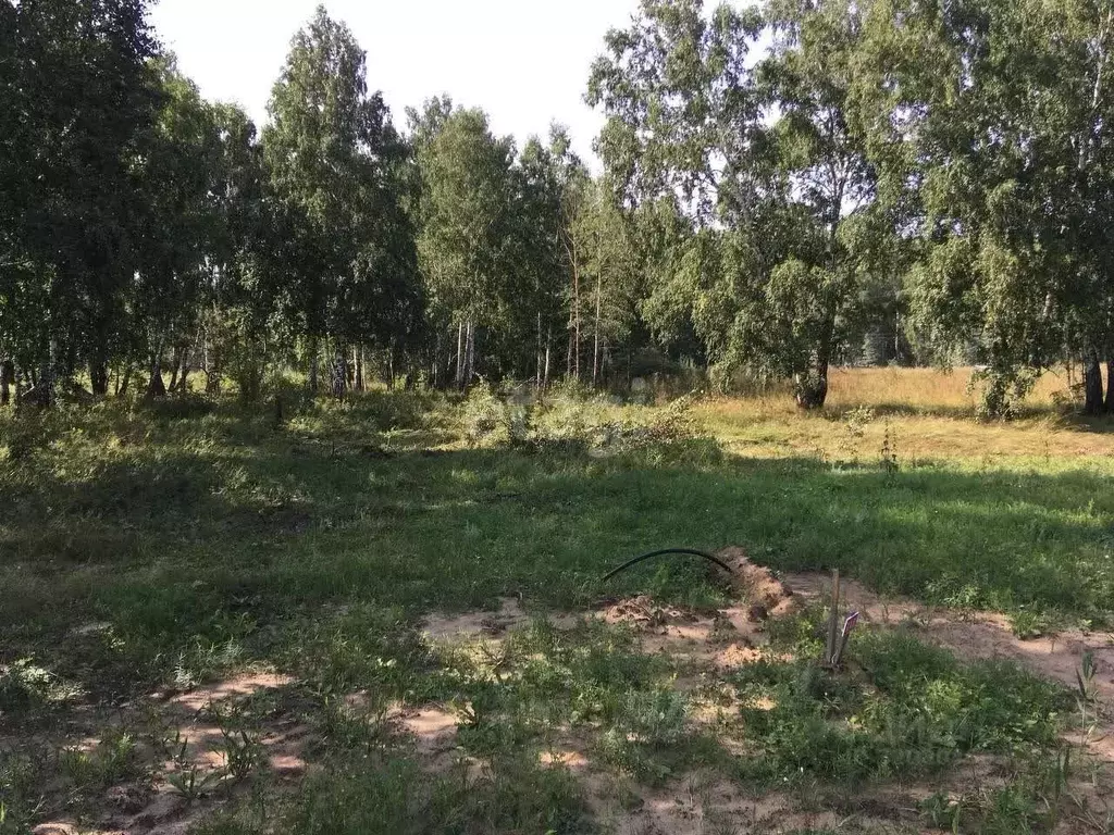 Участок в Новосибирская область, Искитимский район, с. Быстровка ... - Фото 1