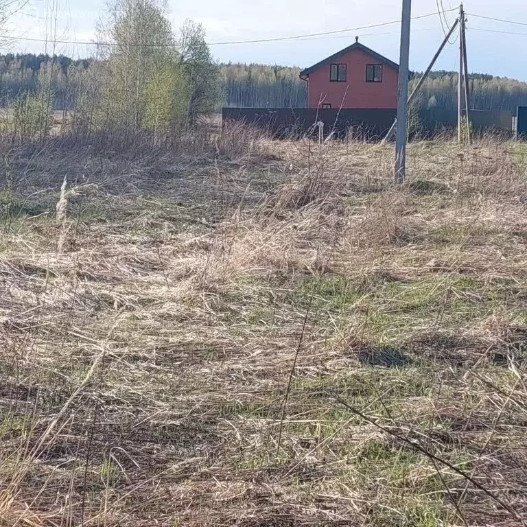 Участок в Ярославский муниципальный округ, деревня Коргиш (11 м) - Фото 1