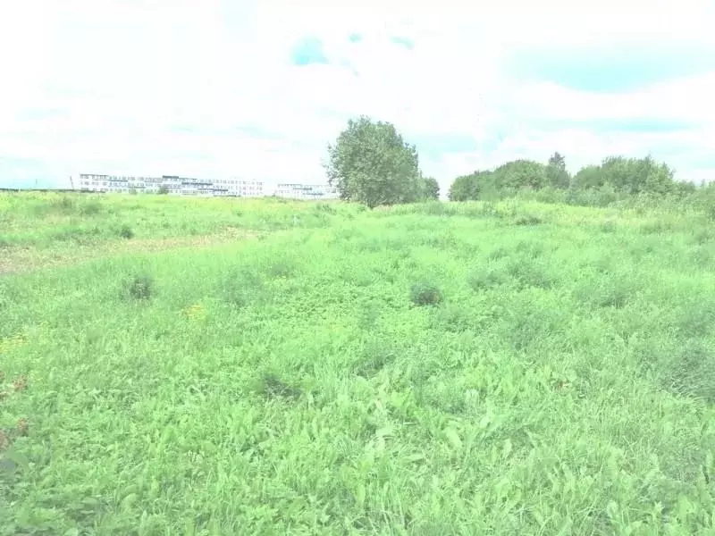 Участок в Калужская область, Калуга городской округ, д. Пучково ул. ... - Фото 1