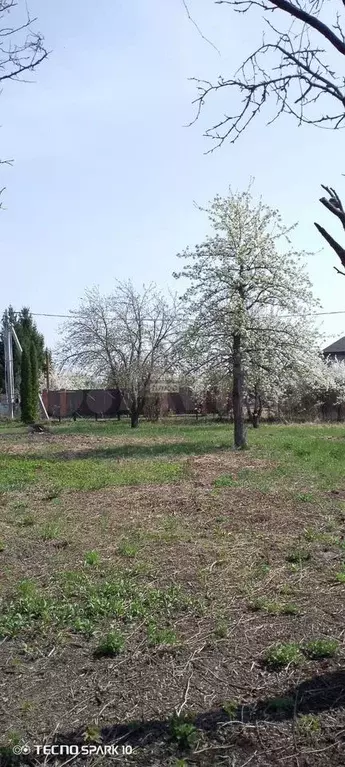 Участок 6 сот. (СНТ, ДНП) - Фото 0