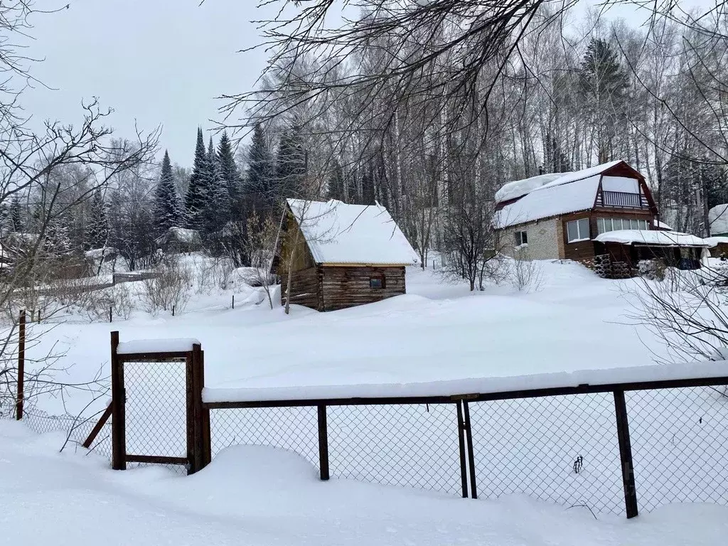 Участок в Новосибирская область, Новосибирский район, Барышевский ... - Фото 2