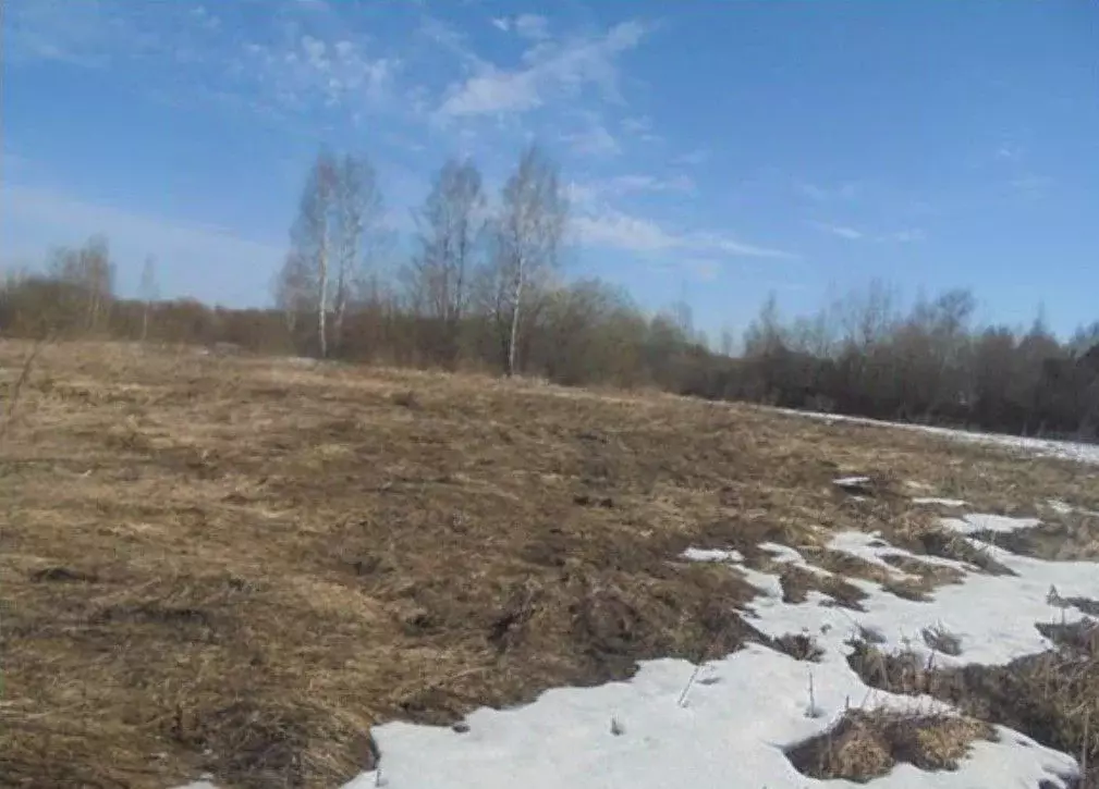 Участок в Московская область, Дмитровский муниципальный округ, д. ... - Фото 2