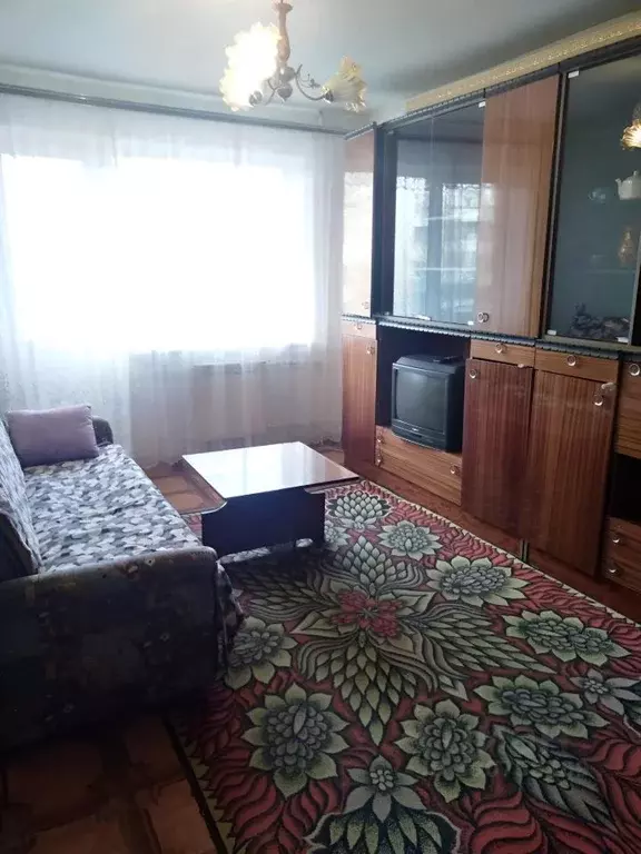 1-к кв. Нижегородская область, Дзержинск ул. Терешковой, 28 (30.0 м) - Фото 2