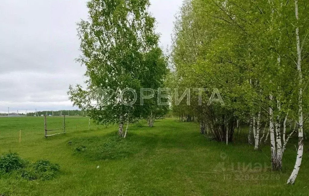 Участок в Тюменская область, Нижнетавдинский район, Полиграфист ... - Фото 1