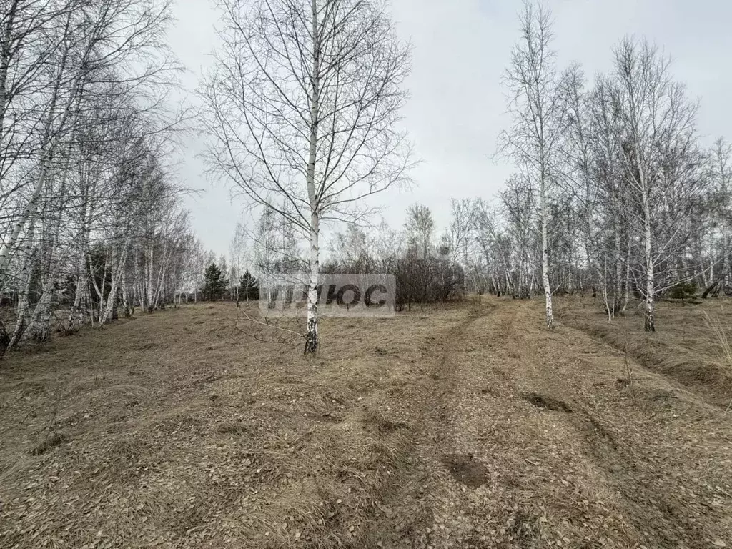 Участок в Омская область, Омский район муниципальный округ, ... - Фото 2