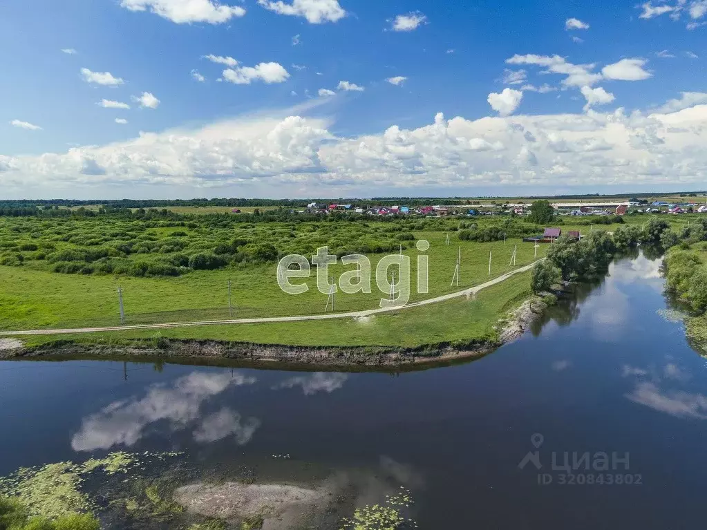 Участок в Новосибирская область, Коченевский район, Венеция СНТ 33 ... - Фото 0