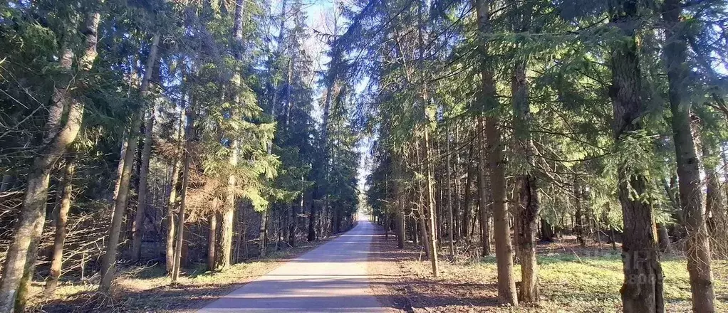 Участок в Московская область, Одинцовский городской округ, Горицвет ... - Фото 1