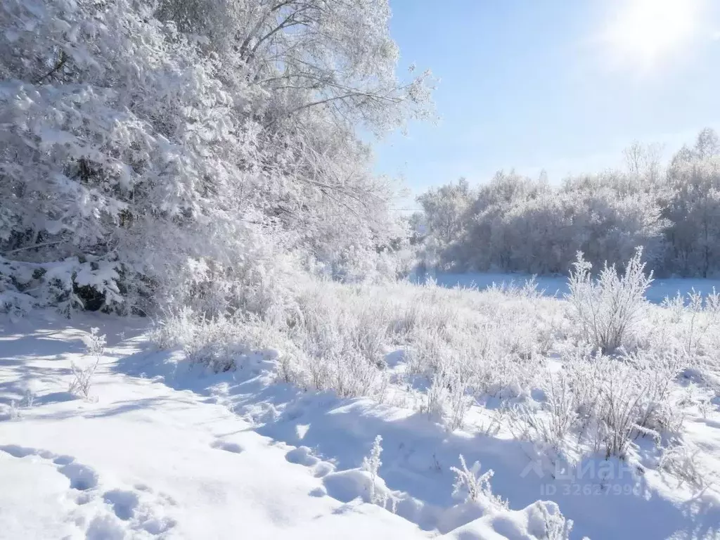 Участок в Ленинградская область, Киришский район, Глажевское с/пос, ... - Фото 1