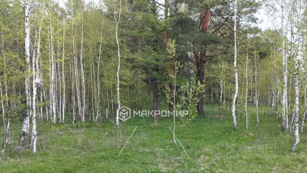 Участок в Татарстан, Казань Долгая ул., 3 (10.0 сот.) - Фото 2