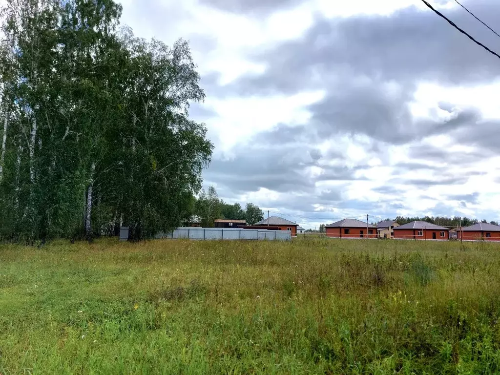 Участок в Новосибирская область, Новосибирский район, Криводановский ... - Фото 1