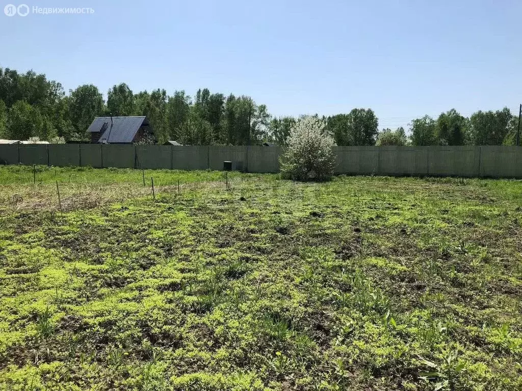 Участок в Морозовский сельсовет, садовое некоммерческое товарищество ... - Фото 2