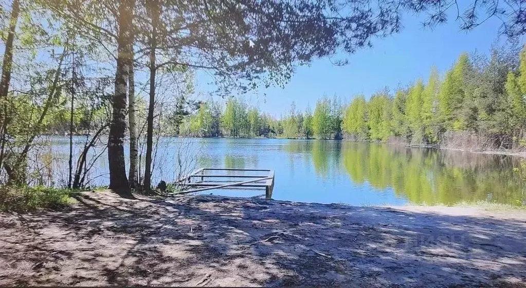 Участок в Ленинградская область, Ломоносовский район, Пениковское ... - Фото 0