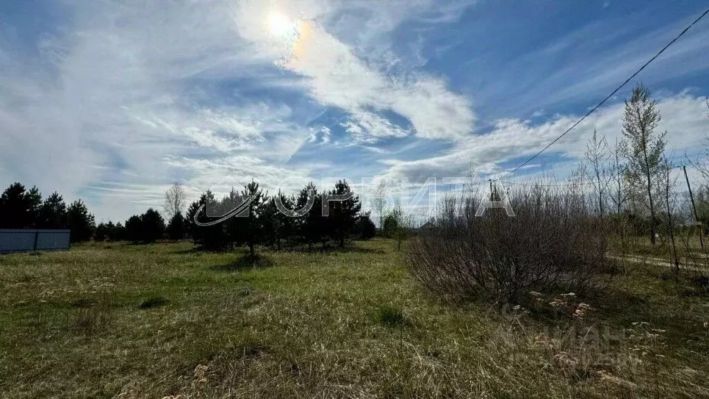 Участок в Тюменская область, Тюменский район, с. Борки  (11.27 сот.) - Фото 1