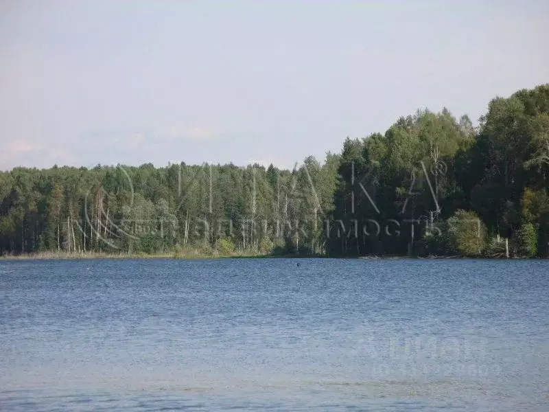 Участок в Ленинградская область, Лодейнопольский район, Алеховщинское ... - Фото 1