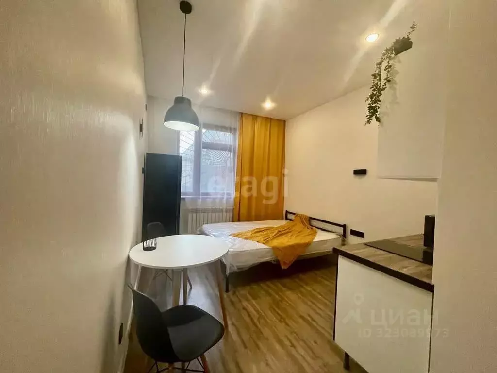 Студия Татарстан, Казань ул. Исмаила Гаспринского, 31 (25.0 м) - Фото 0