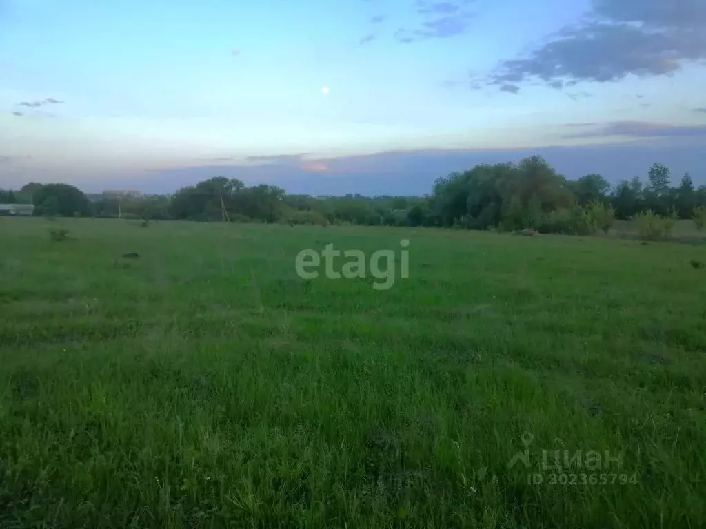 Участок в Воронежская область, Семилукское с/пос, с. Ендовище ул. ... - Фото 0