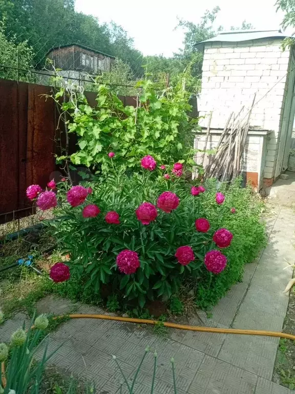 Дача 70 м на участке 4 сот. - Фото 0