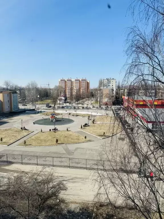 Комната Брянская область, Брянск Клинцовская ул., 64 (16.0 м) - Фото 1