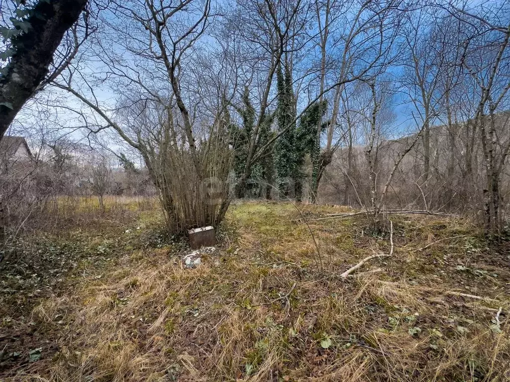 Участок в Краснодарский край, Геленджик городской округ, с. ... - Фото 1