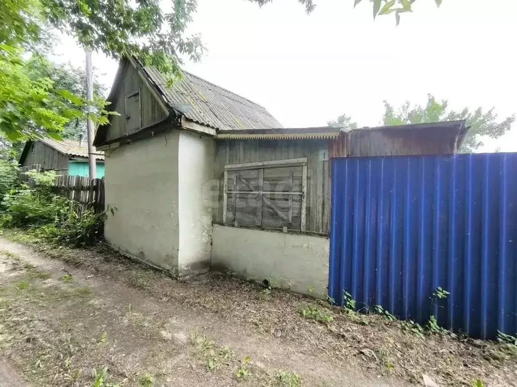 Дом в Курганская область, Курган Связист СНТ,  (24 м) - Фото 1