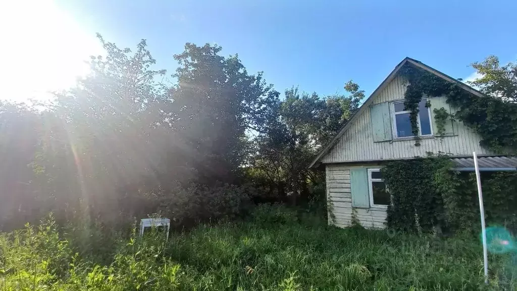 Дом в Калужская область, Боровский муниципальный округ, Кривское ... - Фото 2