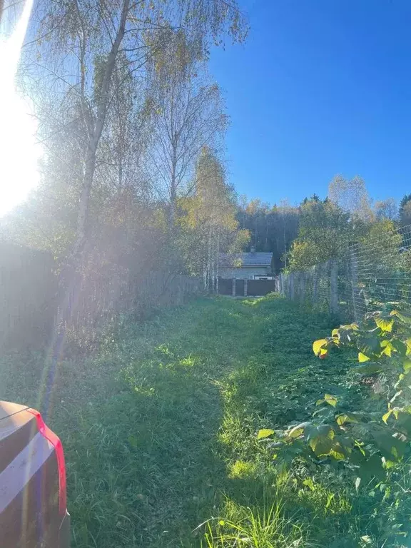 Участок в Московская область, Дмитровский муниципальный округ, д. ... - Фото 1