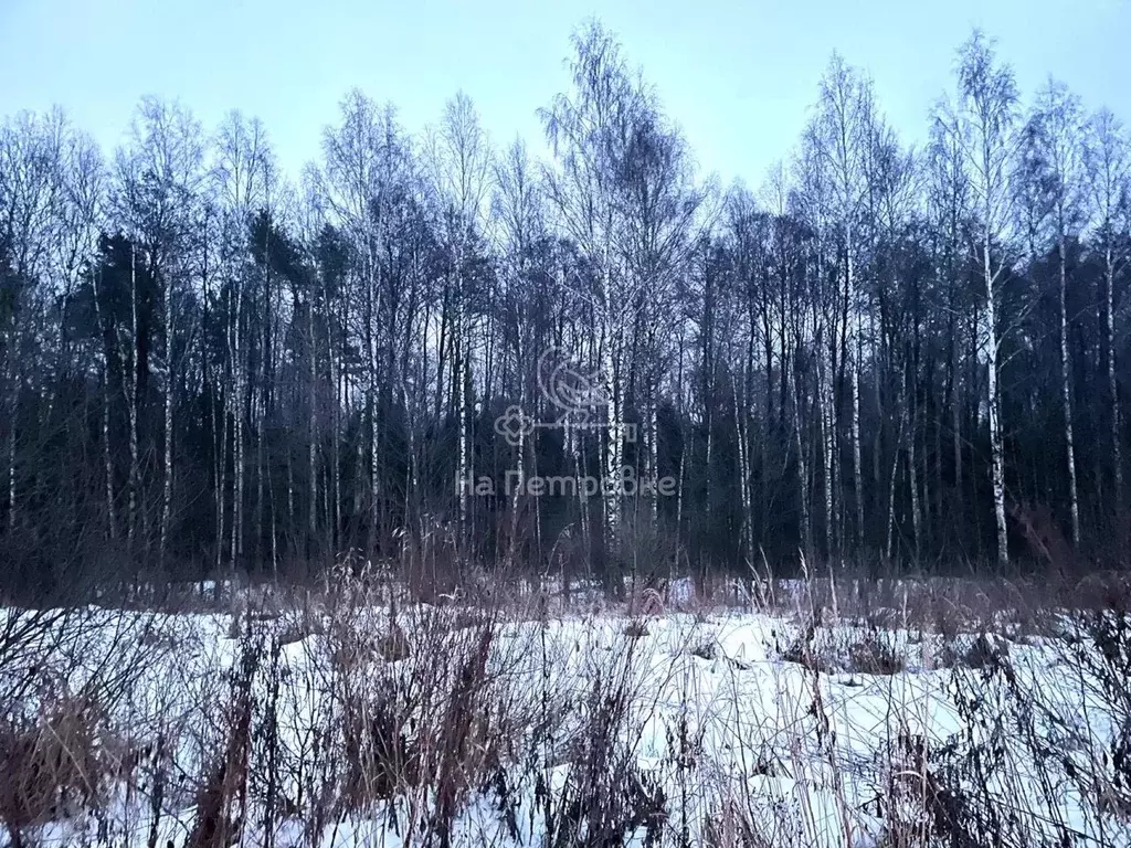 Участок в Московская область, Богородский городской округ, с. Стромынь ... - Фото 1