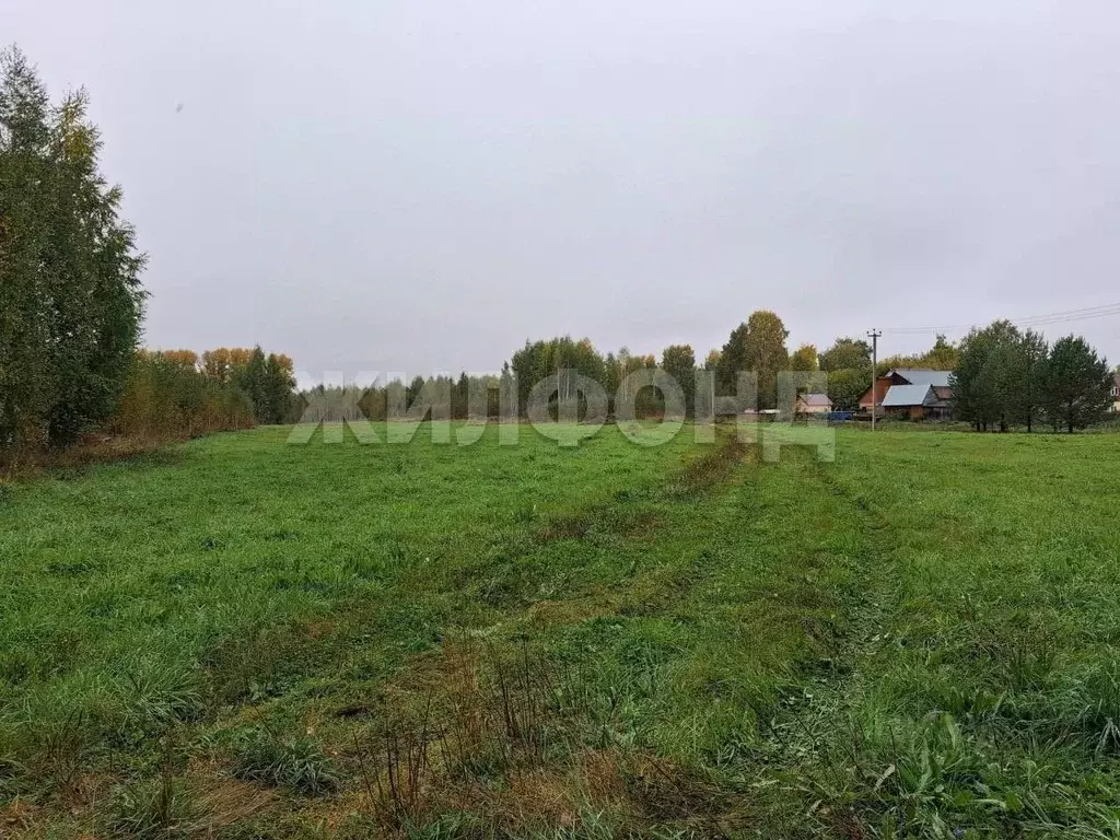 Участок в Новосибирская область, Новосибирский район, Станционный ... - Фото 1