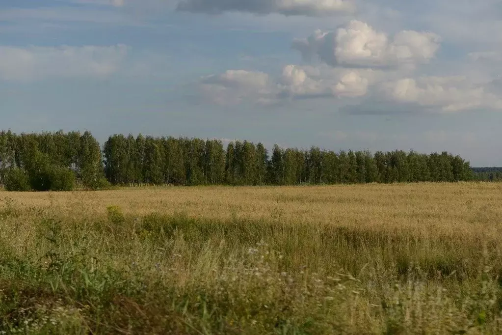 Участок в Тульская область, Ясногорский район, Теляковское ... - Фото 1