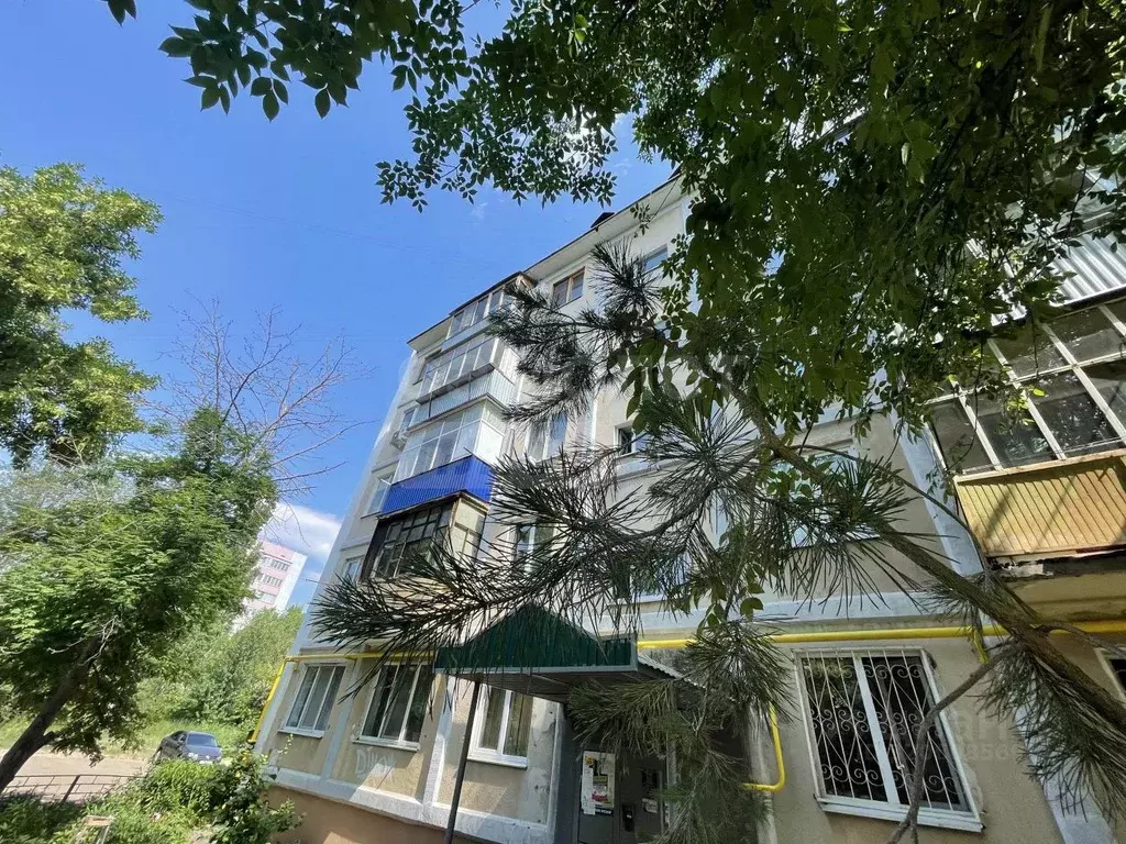 3-к кв. Оренбургская область, Оренбург ул. Дружбы, 6/1 (62.0 м) - Фото 0