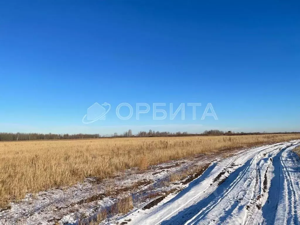 Участок в Тюменская область, Тюмень Яровское садовое товарищество, ул. ... - Фото 1