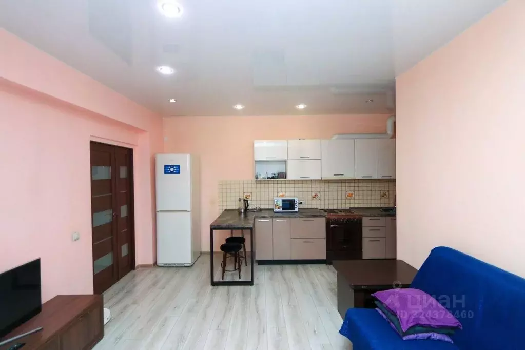 2-к кв. Иркутская область, Иркутск наб. Верхняя, 173 (55.0 м) - Фото 2