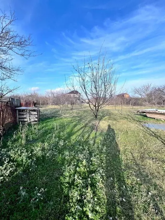 Участок в Краснодарский край, Анапа муниципальный округ, Заря хут. ул. ... - Фото 1
