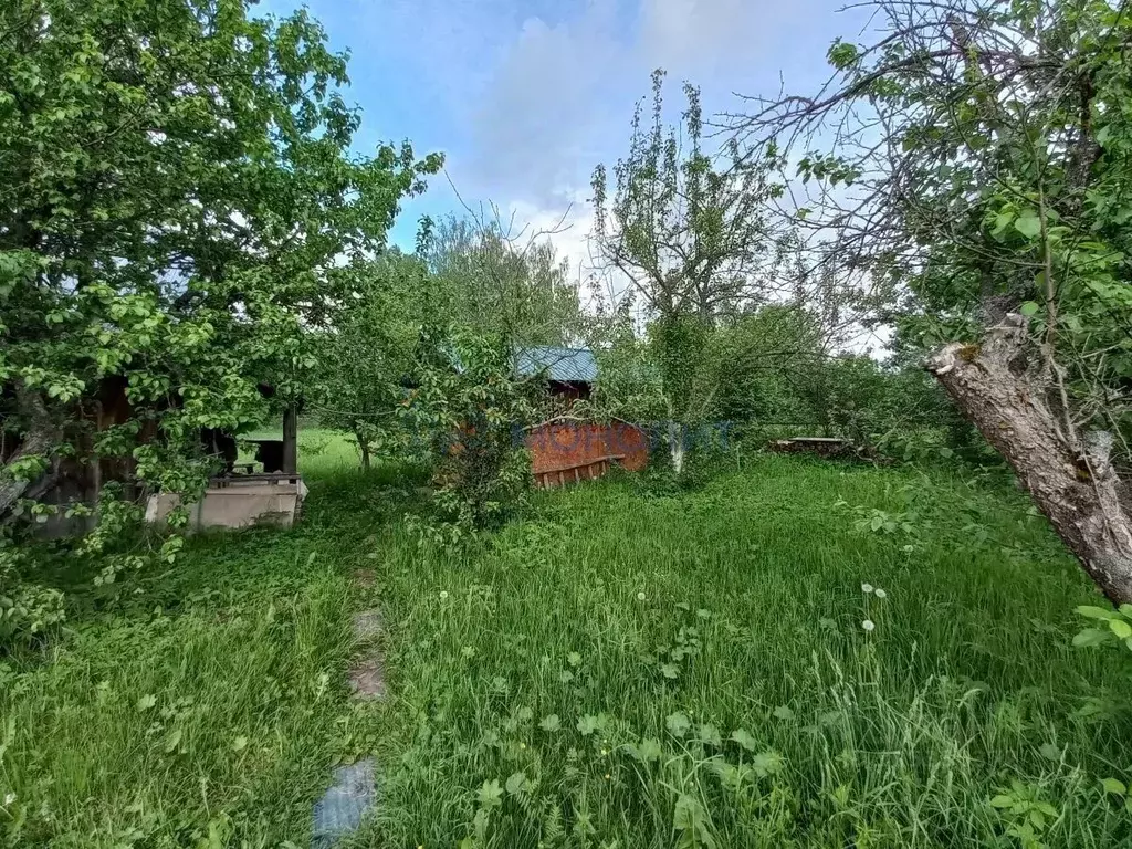 Дом в Нижегородская область, Чкаловск городской округ, д. Никиткино 15 ... - Фото 1