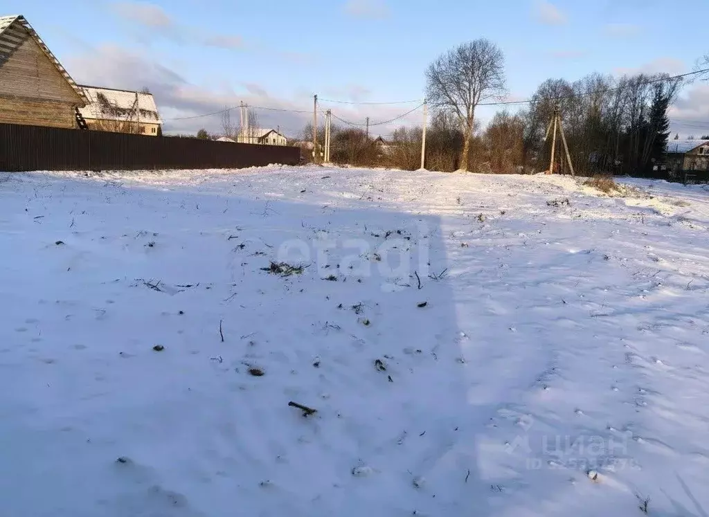 Участок в Московская область, Талдомский городской округ, д. Карманово ... - Фото 2