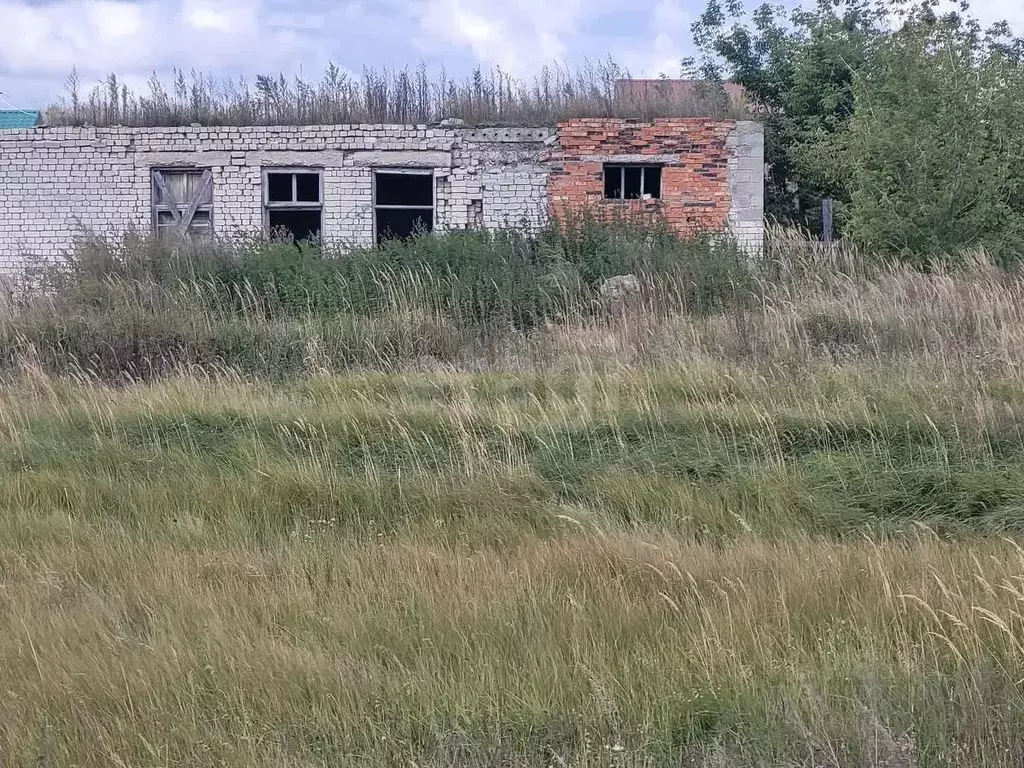 Участок в Ульяновская область, Старомайнский муниципальный округ, с. ... - Фото 0
